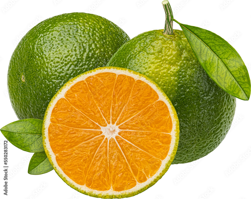 Green tangerine isolated