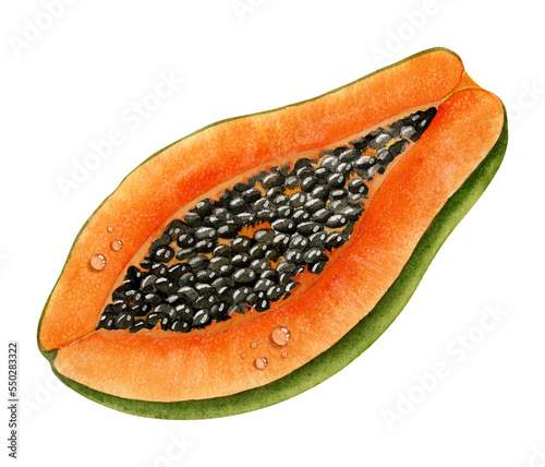 Watercolor half of Papaya. Hand painted illustration of Exotic tropical Fruit on isolated background. Botanical sketch of healthy dessert. Drawing of orange pawpaw