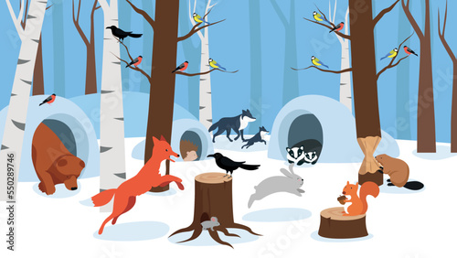 forest animals and birds in the winter forest