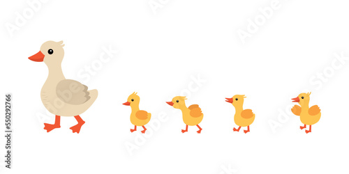 Mother duck and ducklings. Cute ducklings walking in a row. Cartoon illustration. A mother duck is an animal and a family duckling.