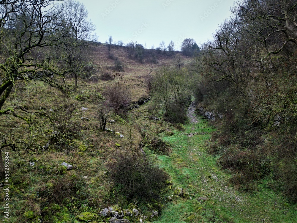 Fototapeta premium Trail in the woods