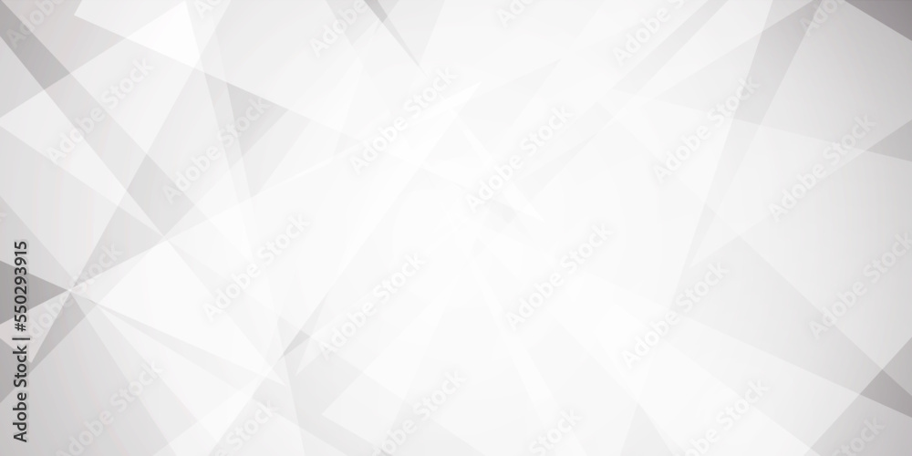 Obraz premium Abstract background with gray background with texture, white abstract modern background. Geometry shine and layer element vector for presentation design. Decorative web layout or poster, banner