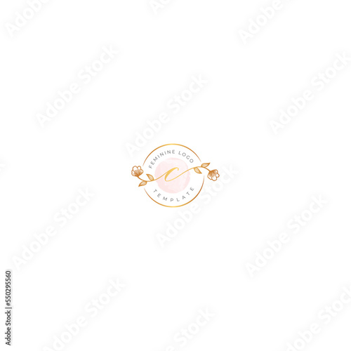 Brand Logo Design