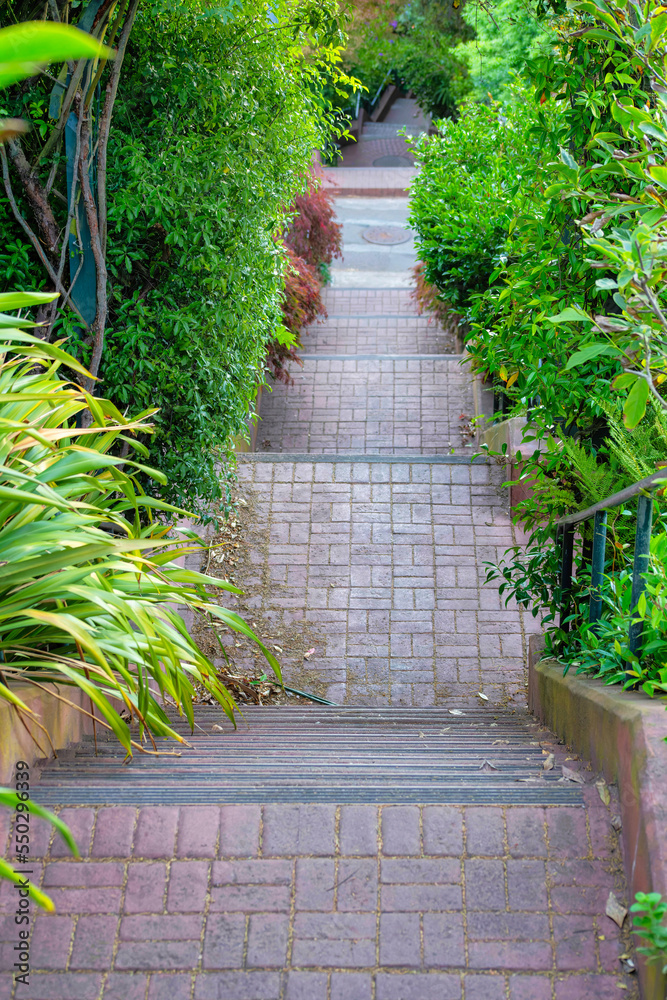 Long row of stairs with visible foliage and plants lining the side of entrance with red bricks down a suburban alley way of the city Long row of stairs with visible foliage and plants lining the side of entrance with red bricks down a suburban alley way of the city
