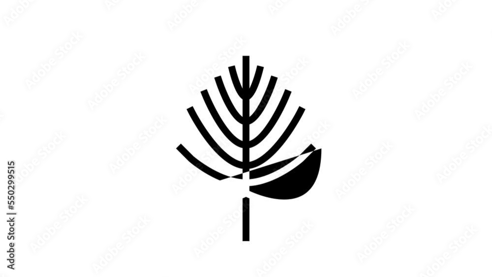 linden leaf glyph icon animation linden leaf glyph icon animation