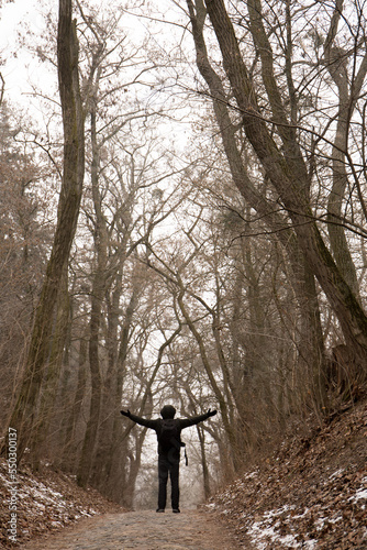 man with outstretched arms in the alley in the park in winter