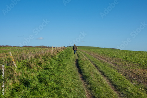 Walking on the Southdown Way