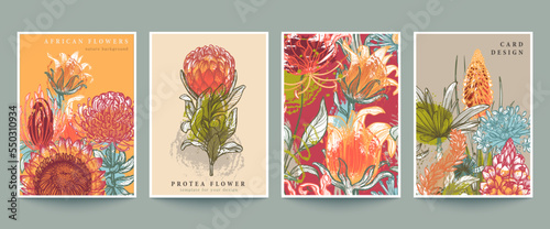 Set of four vector pre-made cards or posters with traditional African flowers, plants and abstract texture