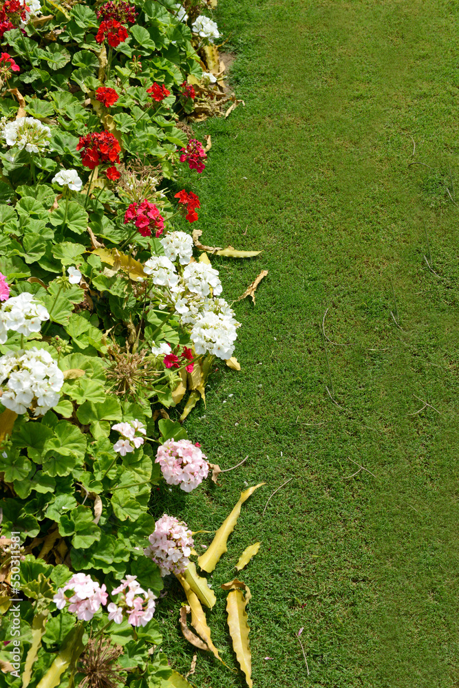 Nature background of flowers leaves and green grass lawn in a vertical ...