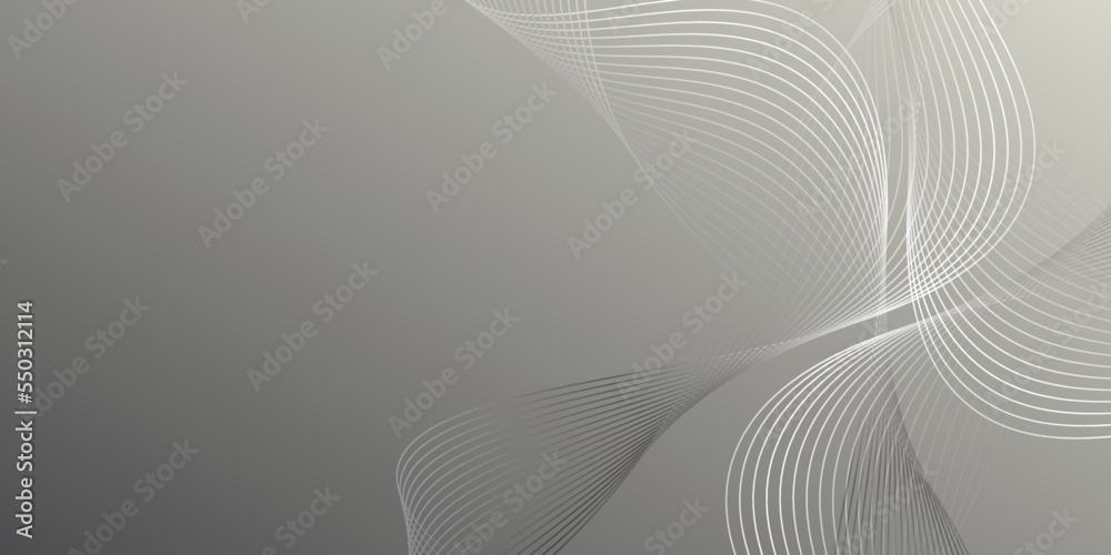 Fototapeta premium Silver luxury background. Modern flat illustration. Premium diagonal line abstract background