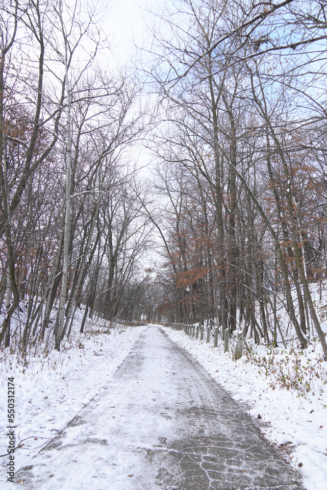 Landscape with snowy trees in winter forest. Landscape with snowy trees in winter forest.