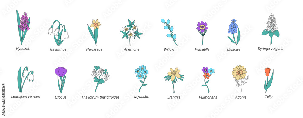 Vector collection of spring flowers with names in doodle style. Collection of Herbs and Wild Flowers of signed titles. Garden or Forest Blossoms. Cartoon Vector Illustration Vector collection of spring flowers with names in doodle style. Collection of Herbs and Wild Flowers of signed titles. Garden or Forest Blossoms. Cartoon Vector Illustration