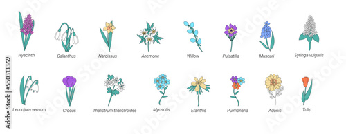 Vector collection of spring flowers with names in doodle style. Collection of Herbs and Wild Flowers of signed titles. Garden or Forest Blossoms. Cartoon Vector Illustration photo