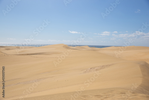 sand dunes . Famous natural park Maspalomas dunes in Gran Canaria at sunset  Canary island  Spain