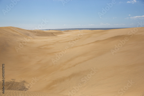 Fine beach sand in the summer sun. Sand texture. Sandy beach for background. Top view. Natural sand stone texture background.