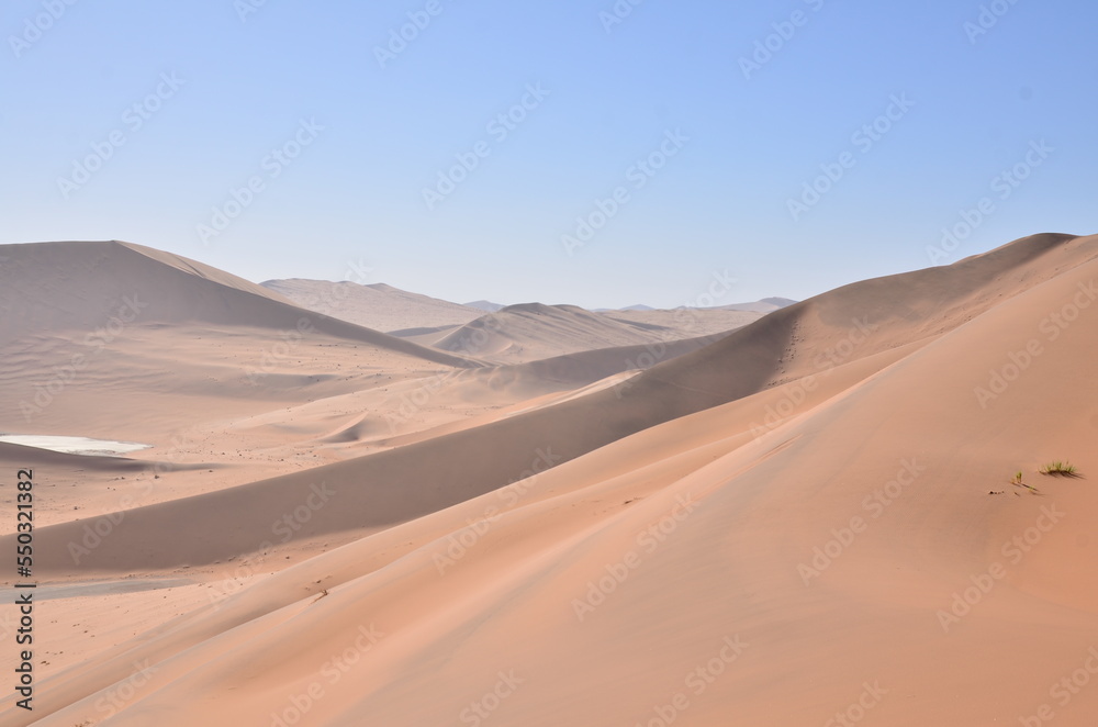 Top of Dune 45 Big Daddy Sand Dune namibia Afrika Blue Sky 