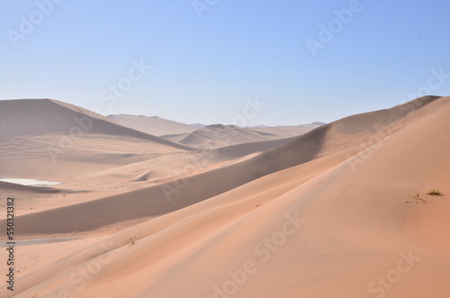 Top of Dune 45 Big Daddy Sand Dune namibia Afrika Blue Sky  © Andreas
