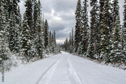 Near Lake Louise, Alberta, Canada, a snow covered road in the mountains with large spruce trees on each side. There is one set of tire tracks in the fresh snow on the road.