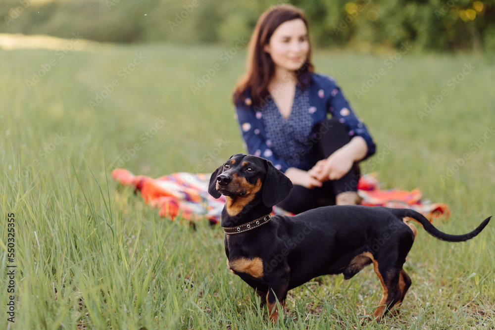 young girl on a walk with her dachshund young girl on a walk with her dachshund