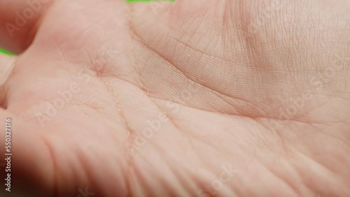Human hand with lines, Palm reading, foretelling the future through the study of the palm, close up macro