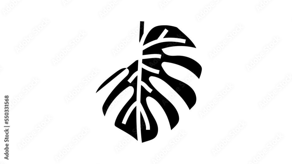 monstera plant leaf glyph icon animation monstera plant leaf glyph icon animation