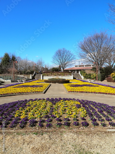 冬の智光山公園