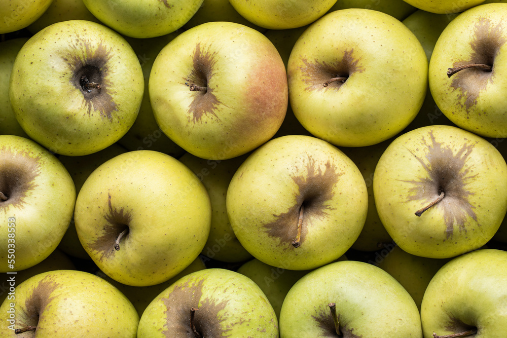 Fresh healthy apples placed in rows
