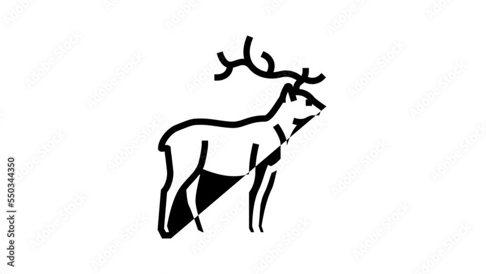 deer animal in zoo line icon animation deer animal in zoo line icon animation