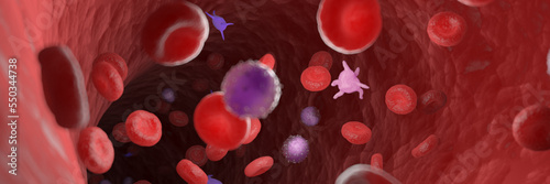 3d rendered medical illustration of circulating blood cells photo
