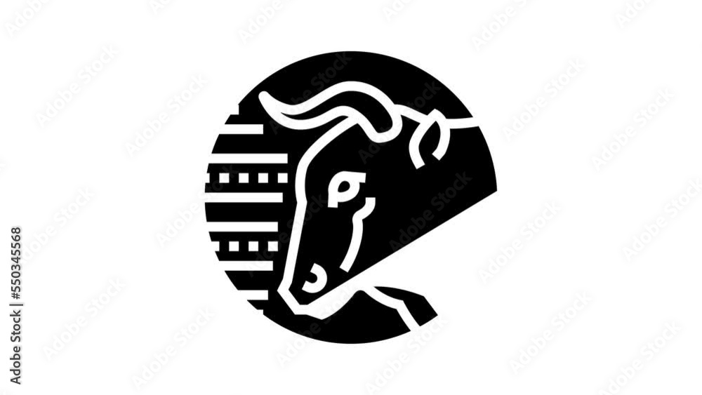 bull zodiac glyph icon animation bull zodiac glyph icon animation