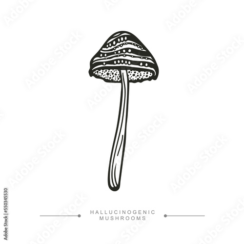 Black and white drawing of a hallucinogenic mushroom. A stylized image of a psilocybin mushroom. Vector illustration