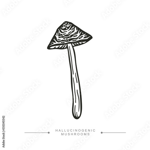 Black and white drawing of a magical surreal hallucinogenic mushroom. Toxic Fantasy Pslocybin Mushroom. Vector illustration
