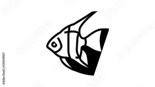 angelfish aquarium fish line icon animation