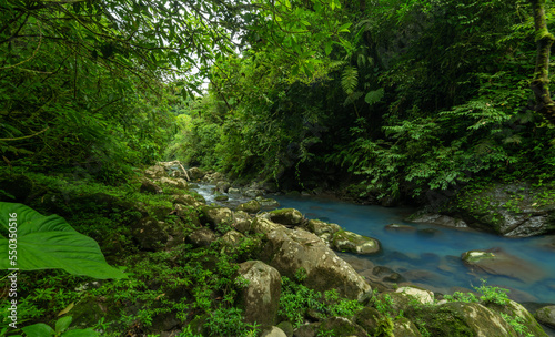 Small creek between tropical trees photo