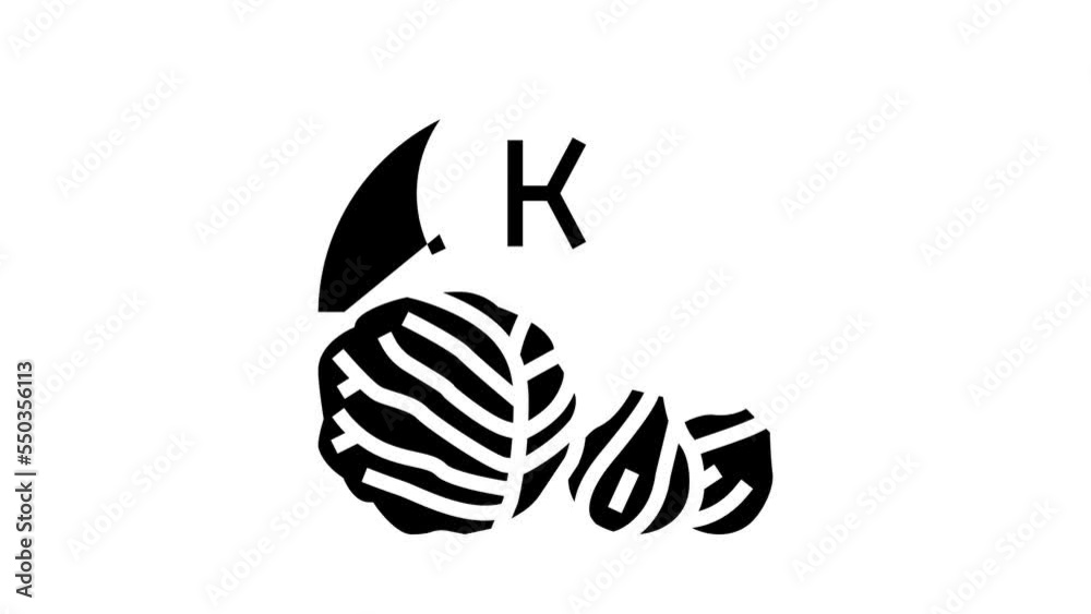 k vitamin in vegetable glyph icon animation k vitamin in vegetable glyph icon animation