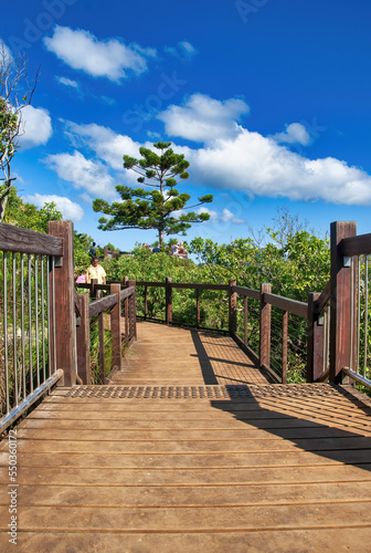 Wooden trail and bridge to a wonderful tropical viewpoint © jovannig