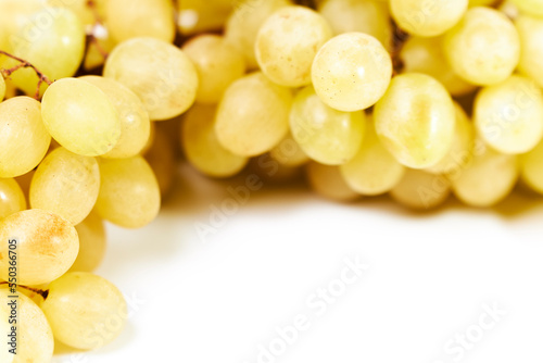 Green grapes bunch isolated on white background