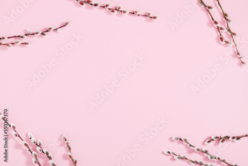 Minimal flowers composition. Spring background. Branches of willows on pastel pink background. Easter, Happy Women's Day, Mother's day. Flat lay, top view, copy space