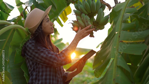 Young woman farmer monitoring orchard and sends data to the cloud from the tablet.