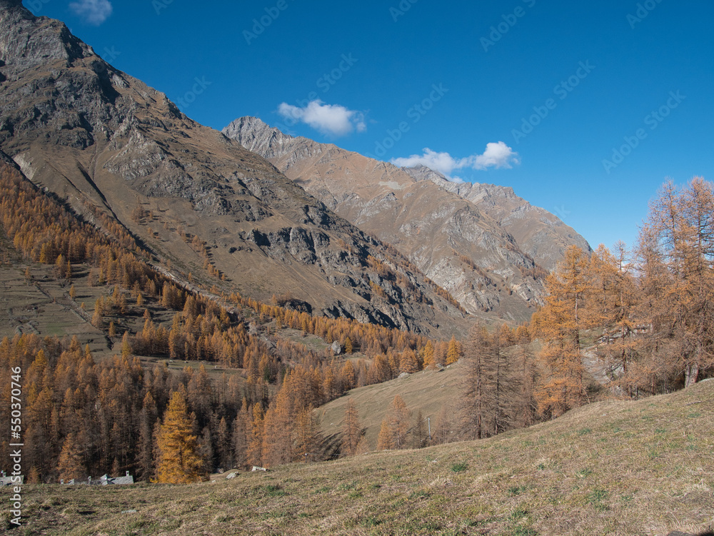 In autumn along Pellaud lakes in the municipality of Rhêmes-Notre-Dame, in the Aosta Valley, Italy.