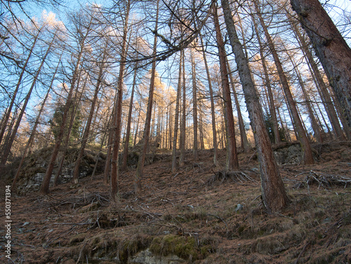 In the autumn background, outdoor, steep cliffs, europa, pellaud lakes, sun, sunny, paths, short grass, yellowby the Pellaud lakes in the municipality of Rhêmes-Notre-Dame, in the Aosta Valley, Italy. photo