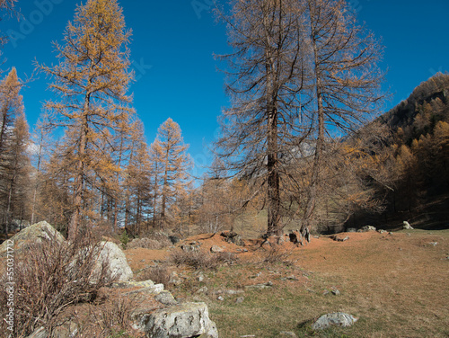 In the autumn background, outdoor, steep cliffs, europa, pellaud lakes, sun, sunny, paths, short grass, yellowby the Pellaud lakes in the municipality of Rhêmes-Notre-Dame, in the Aosta Valley, Italy. photo