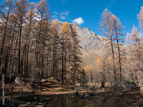 Pellaud lakes during autumn. Municipality of Rhêmes-Notre-Dame, in the Aosta Valley, Italy photo