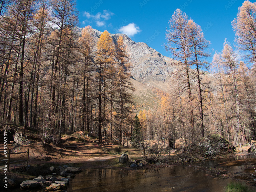 Pellaud lakes during autumn. Municipality of Rhêmes-Notre-Dame, in the Aosta Valley, Italy