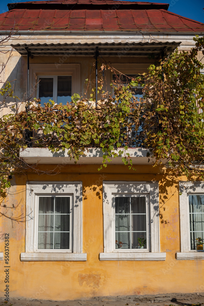 Part of the decoration of the facade of the building and the material from which it is built;  
a yellow wall with white windows and a balcony overgrown with grapes