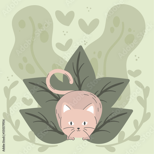 cute cat on leaves