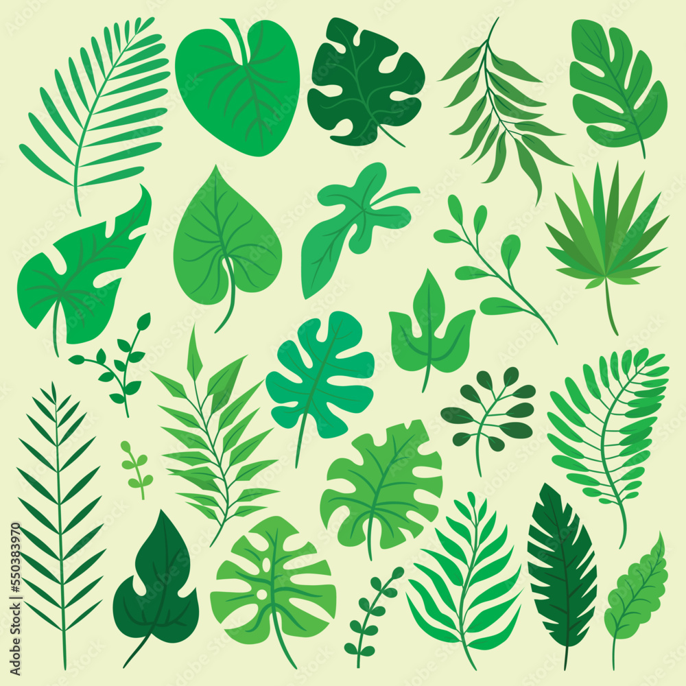 Big set of different leaves. Big set of different leaves.