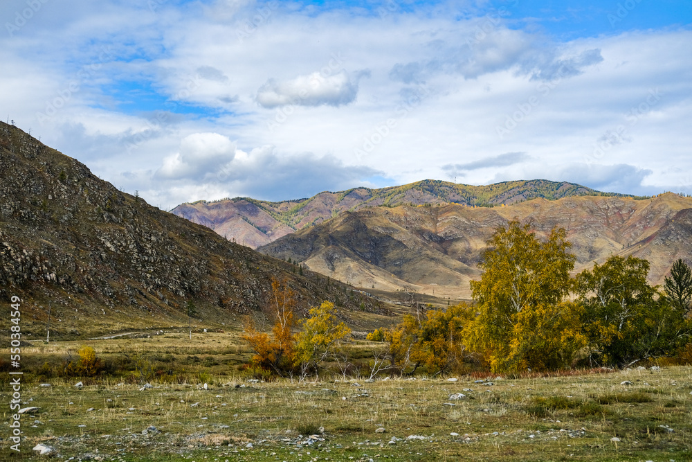 Green valley in the mountains. Yellow plateau in autumn. Golden field and desert in a mountain landscape. 