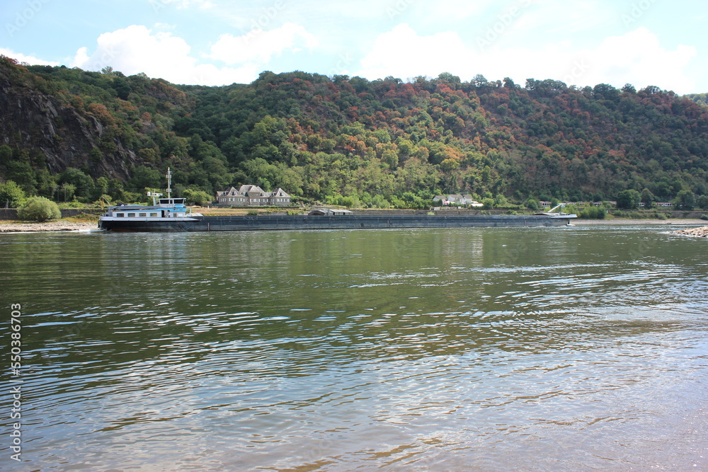 A freighter is sailing on the Rhine. Photo was taken on a sunny day in summer.