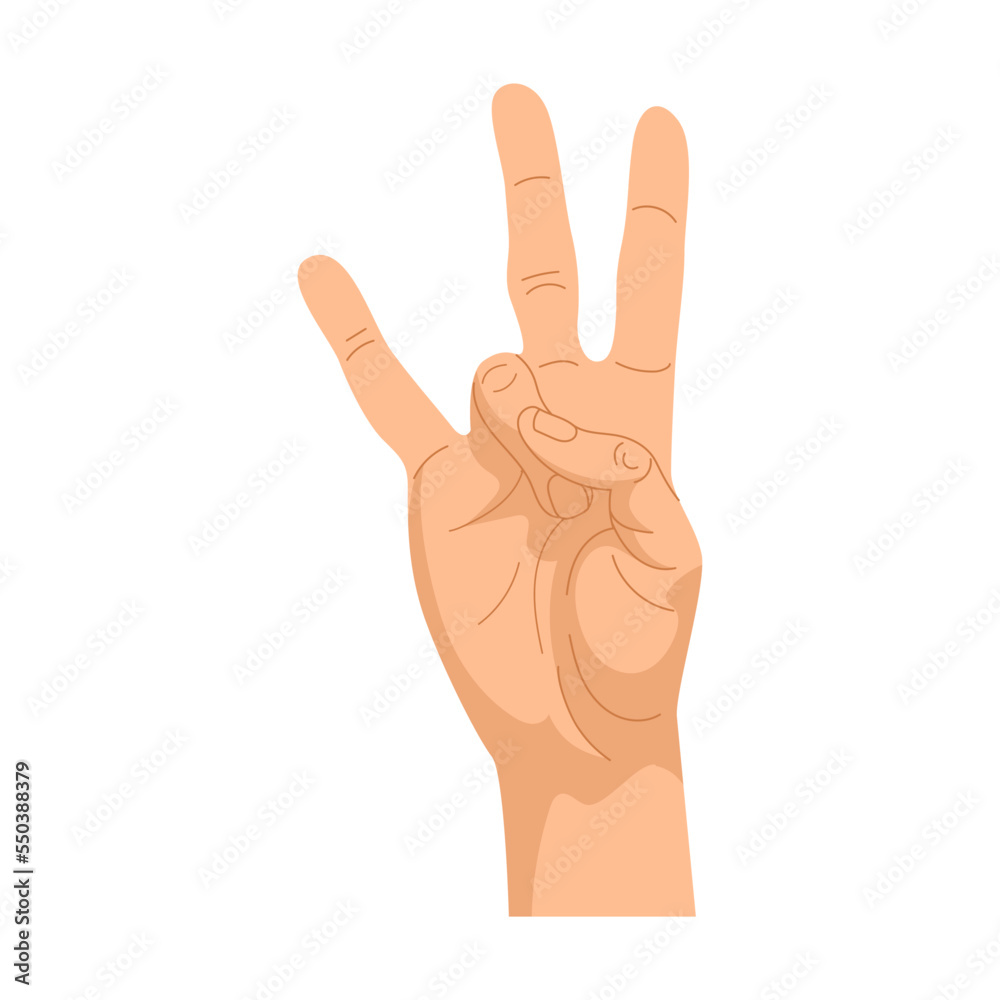 Hand gestures. Illustration of human palm showing sign. Cartoon peace symbol, thumbs up, ok positions isolated on white Hand gestures. Illustration of human palm showing sign. Cartoon peace symbol, thumbs up, ok positions isolated on white